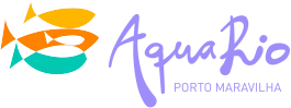 Aqua Rio Cliente Real Tapetes RJ